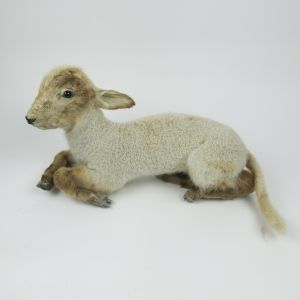 Lamb 4