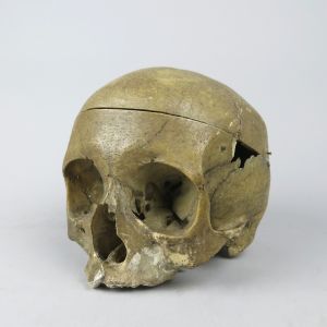 Human skull 4