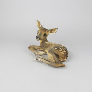 Baby Roe Deer 2