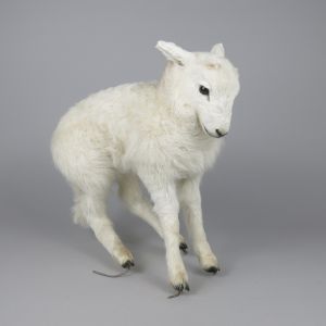 Lamb 1