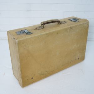 Vellum suitcase 2