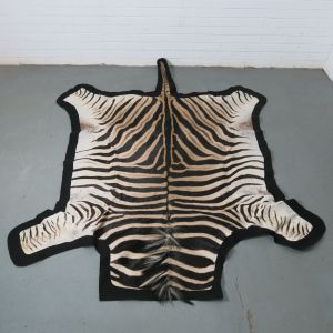 Zebra skin 2