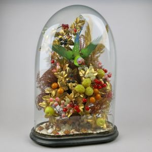 Glass dome display with parakeet