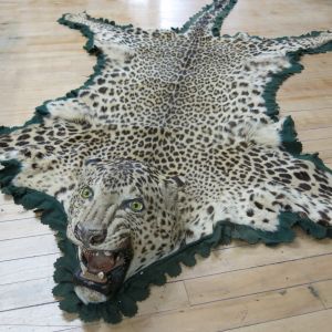 Leopard skin 2