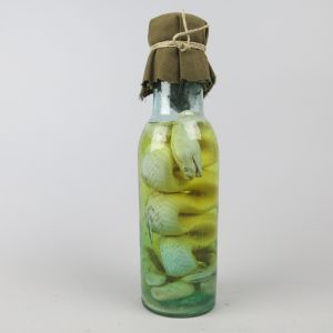 Pickled Snake in bottle