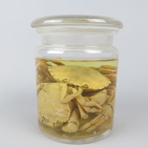 Pickled Crabs