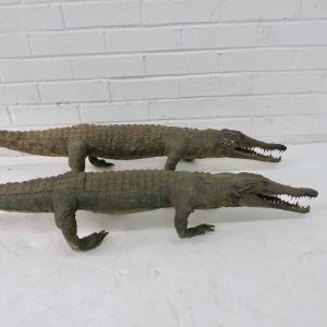 Pair of Crocodiles