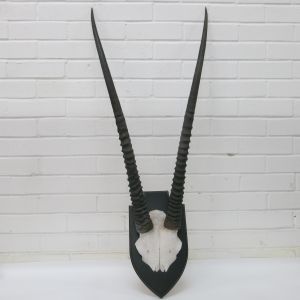 Oryx horns on shield