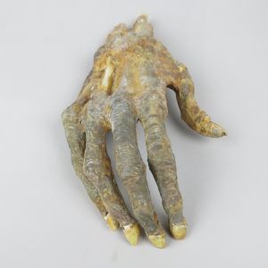 Mummified hand 1