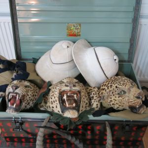 Military trunk, Leopard skins & pith helmets