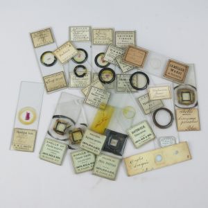 Microscope slides (lot 2)