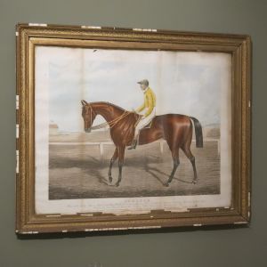 Race horse print