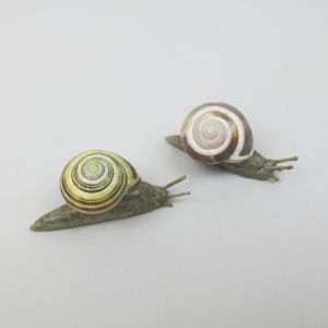 Snails x 2