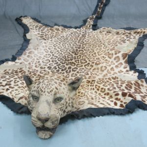 Leopard skin 5
