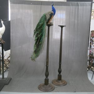 Pair of torcheres / pedestals