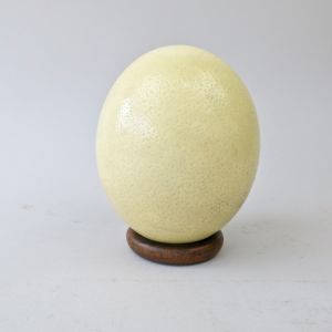 Ostrich egg, vintage