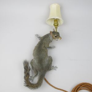 Climbing Squirrel wall light
